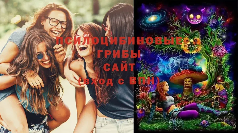 цена   Егорьевск  Галлюциногенные грибы MAGIC MUSHROOMS 